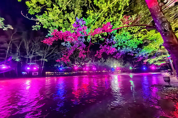 道真卢家坝露营基地